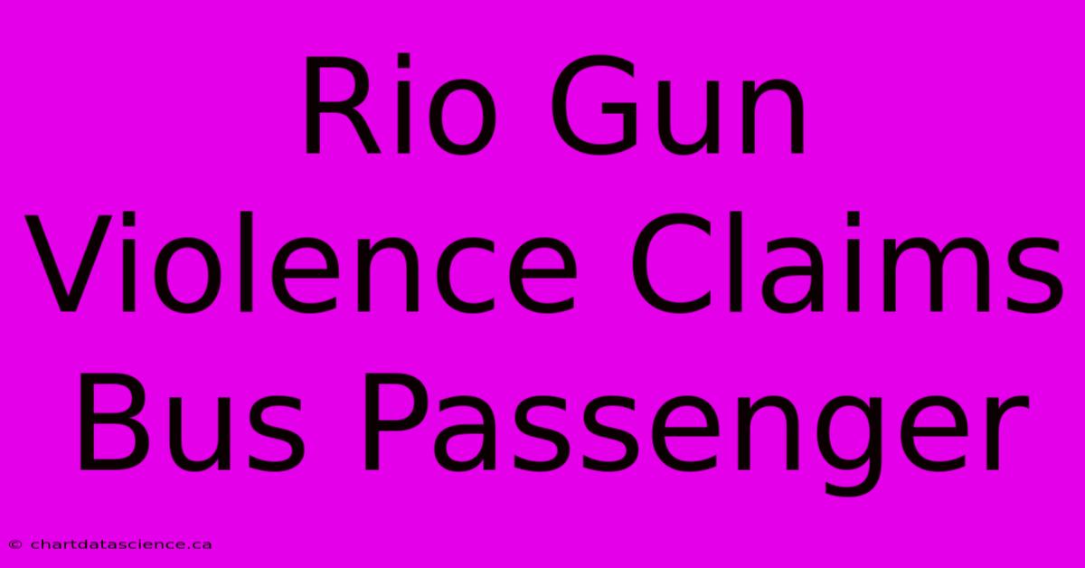 Rio Gun Violence Claims Bus Passenger