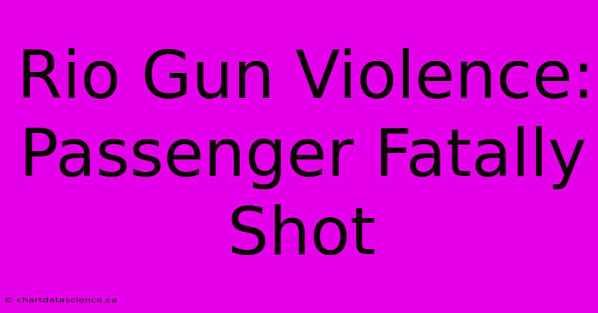 Rio Gun Violence: Passenger Fatally Shot