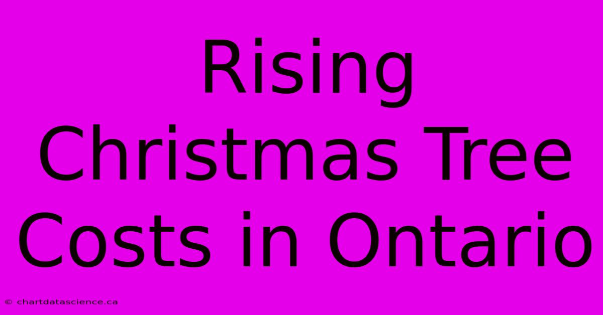 Rising Christmas Tree Costs In Ontario