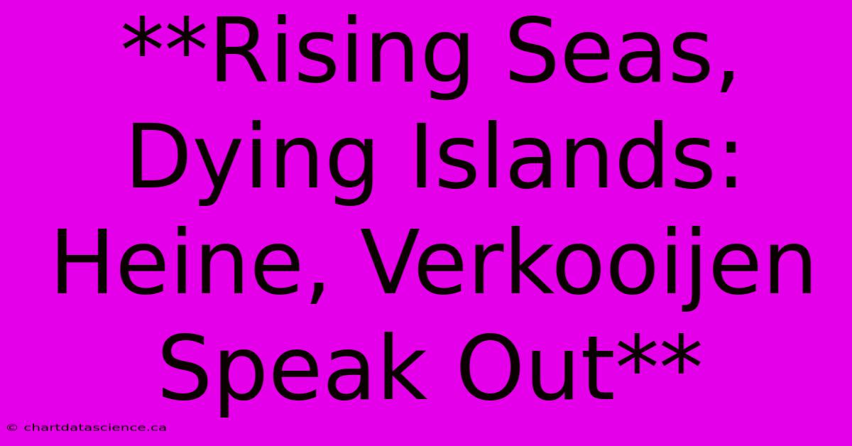 **Rising Seas, Dying Islands: Heine, Verkooijen Speak Out**