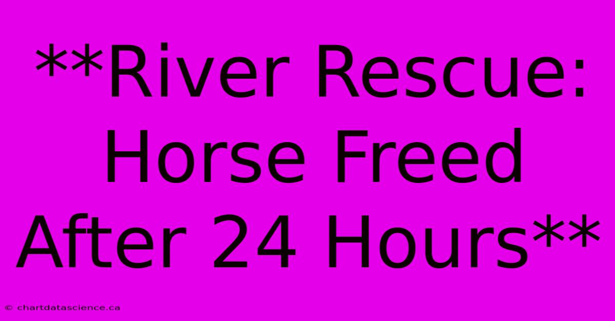 **River Rescue: Horse Freed After 24 Hours**