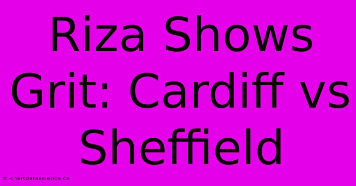 Riza Shows Grit: Cardiff Vs Sheffield