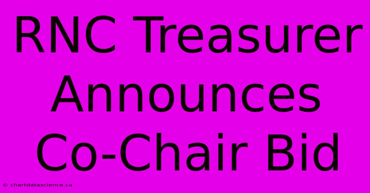 RNC Treasurer Announces Co-Chair Bid