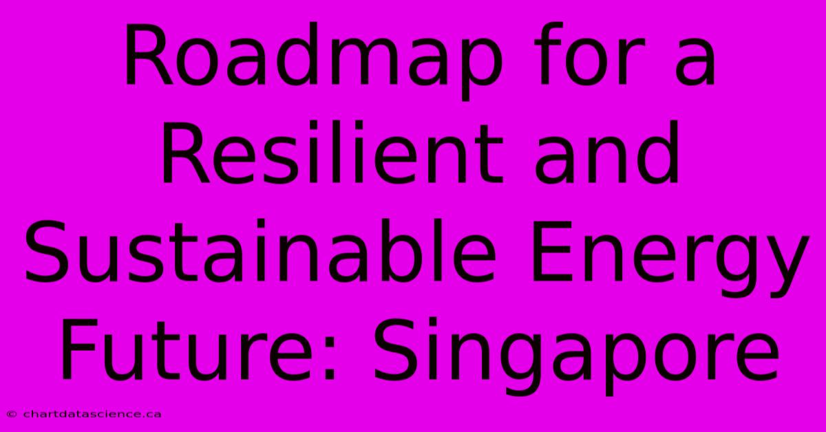 Roadmap For A Resilient And Sustainable Energy Future: Singapore