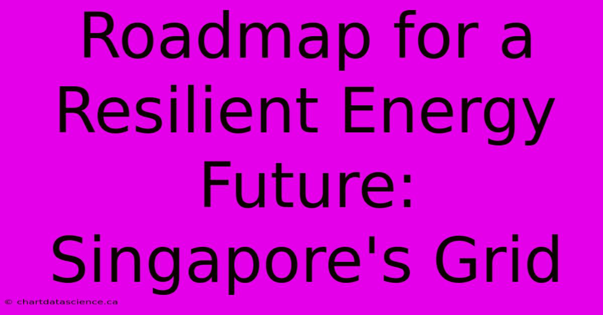 Roadmap For A Resilient Energy Future: Singapore's Grid