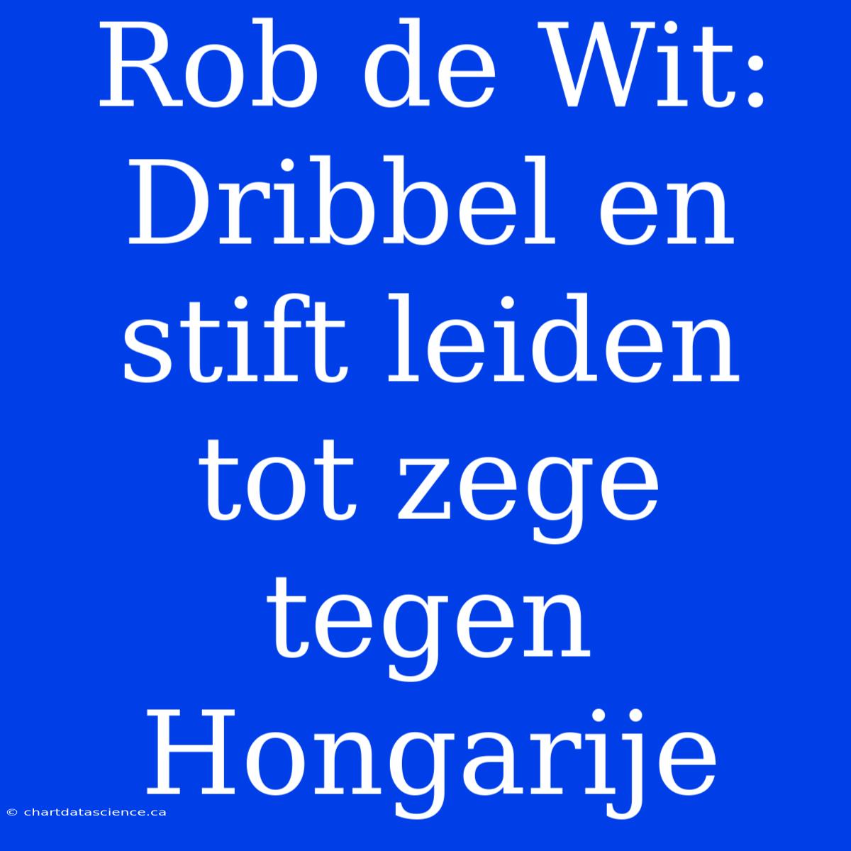 Rob De Wit: Dribbel En Stift Leiden Tot Zege Tegen Hongarije