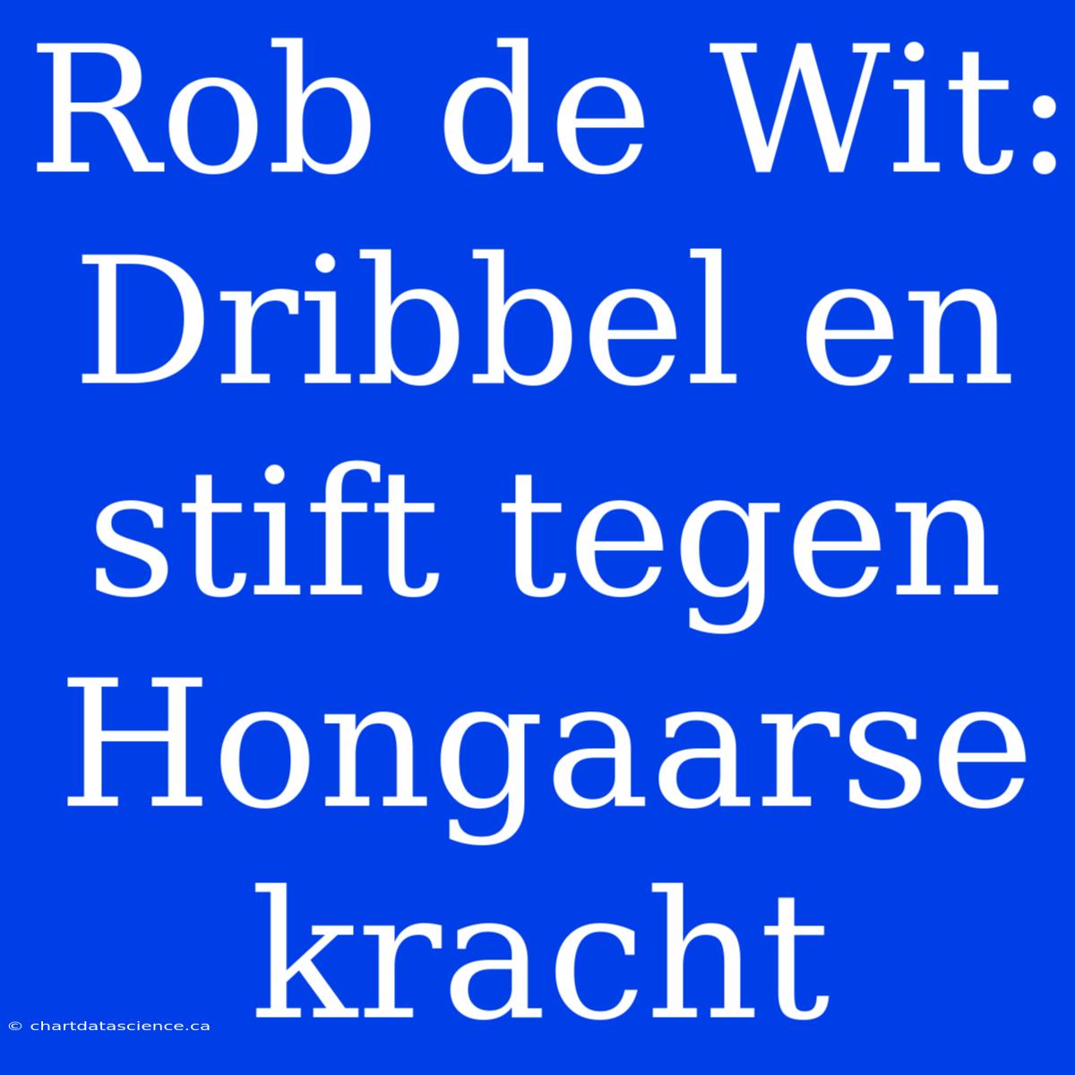 Rob De Wit: Dribbel En Stift Tegen Hongaarse Kracht