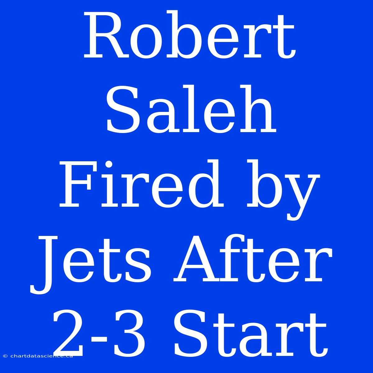 Robert Saleh Fired By Jets After 2-3 Start