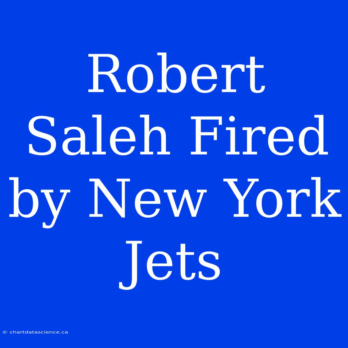 Robert Saleh Fired By New York Jets