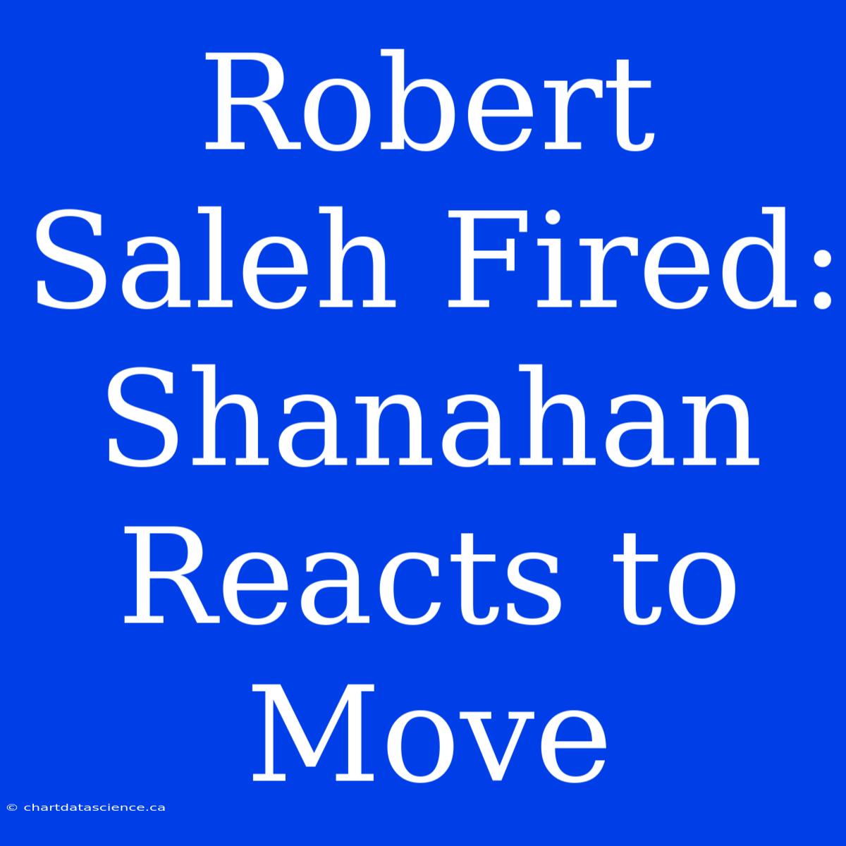 Robert Saleh Fired: Shanahan Reacts To Move