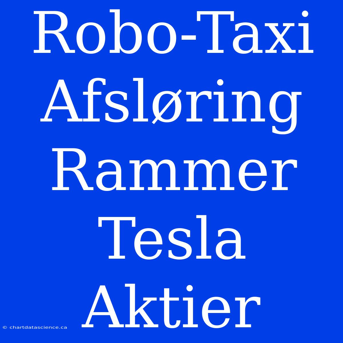 Robo-Taxi Afsløring Rammer Tesla Aktier