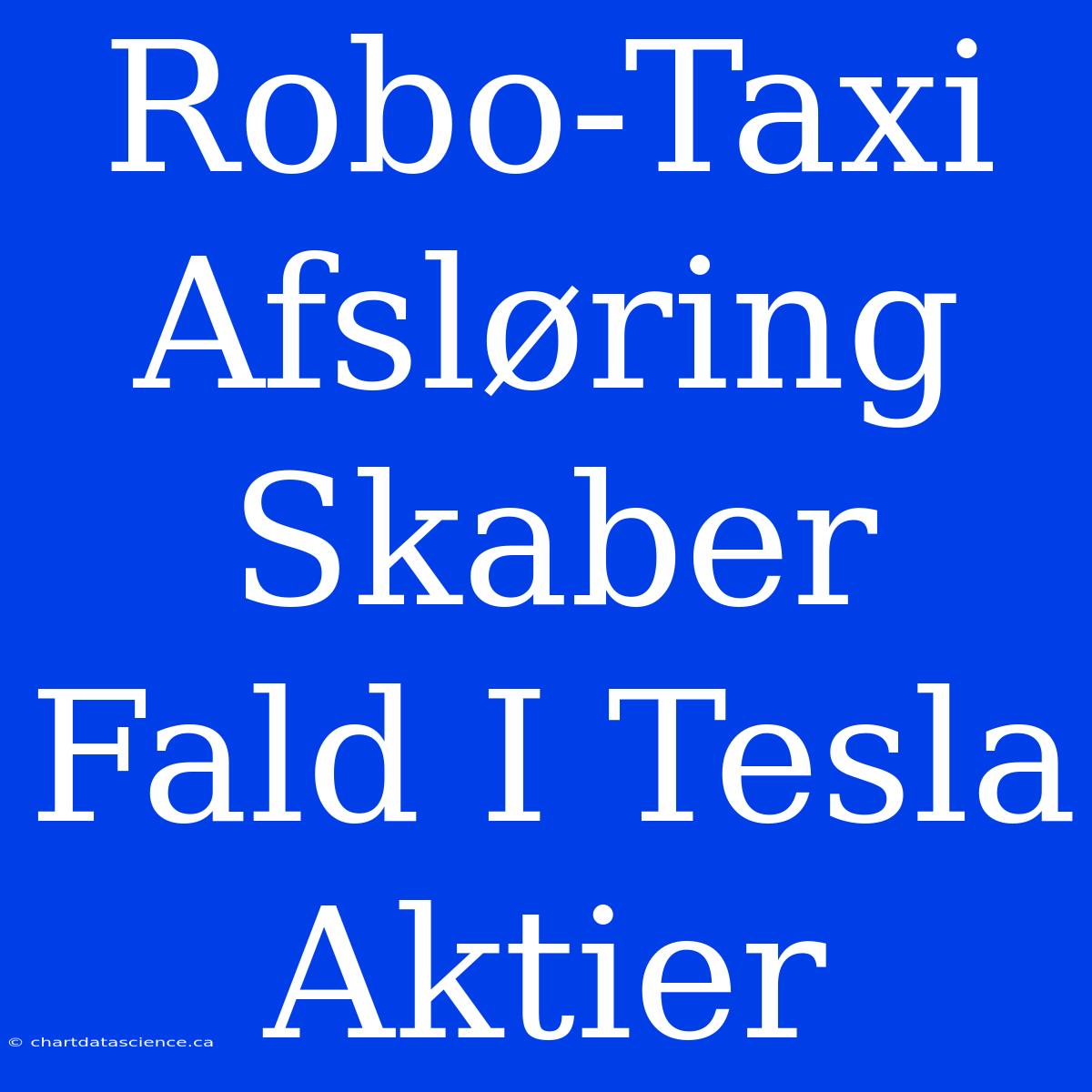 Robo-Taxi Afsløring Skaber Fald I Tesla Aktier