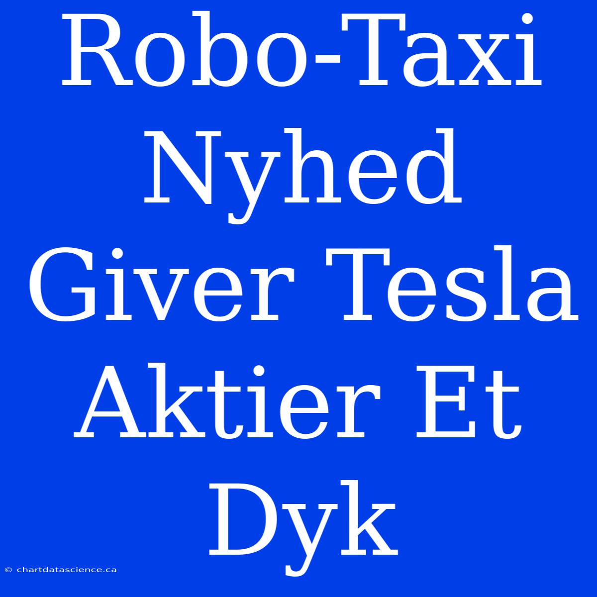 Robo-Taxi Nyhed Giver Tesla Aktier Et Dyk