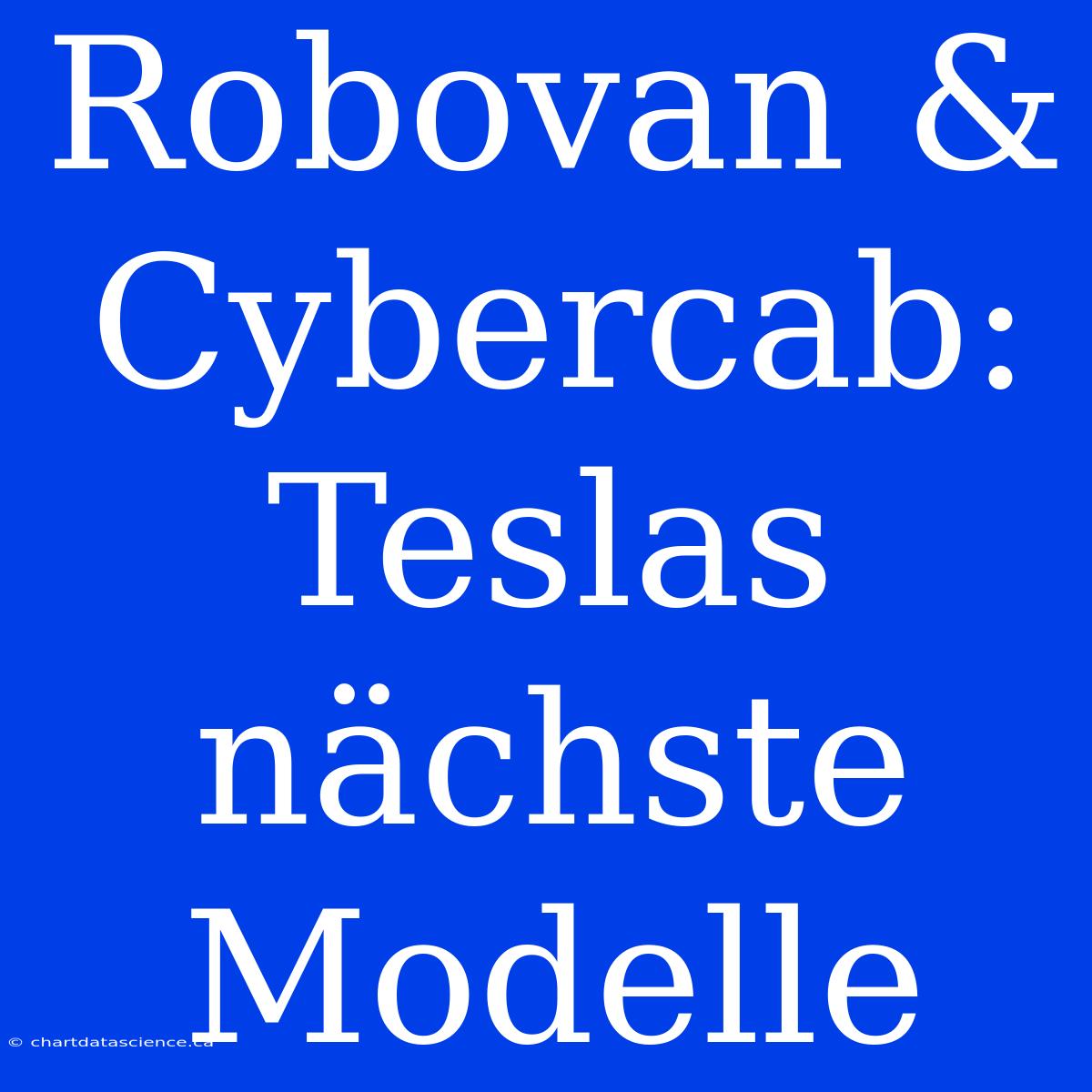 Robovan & Cybercab: Teslas Nächste Modelle