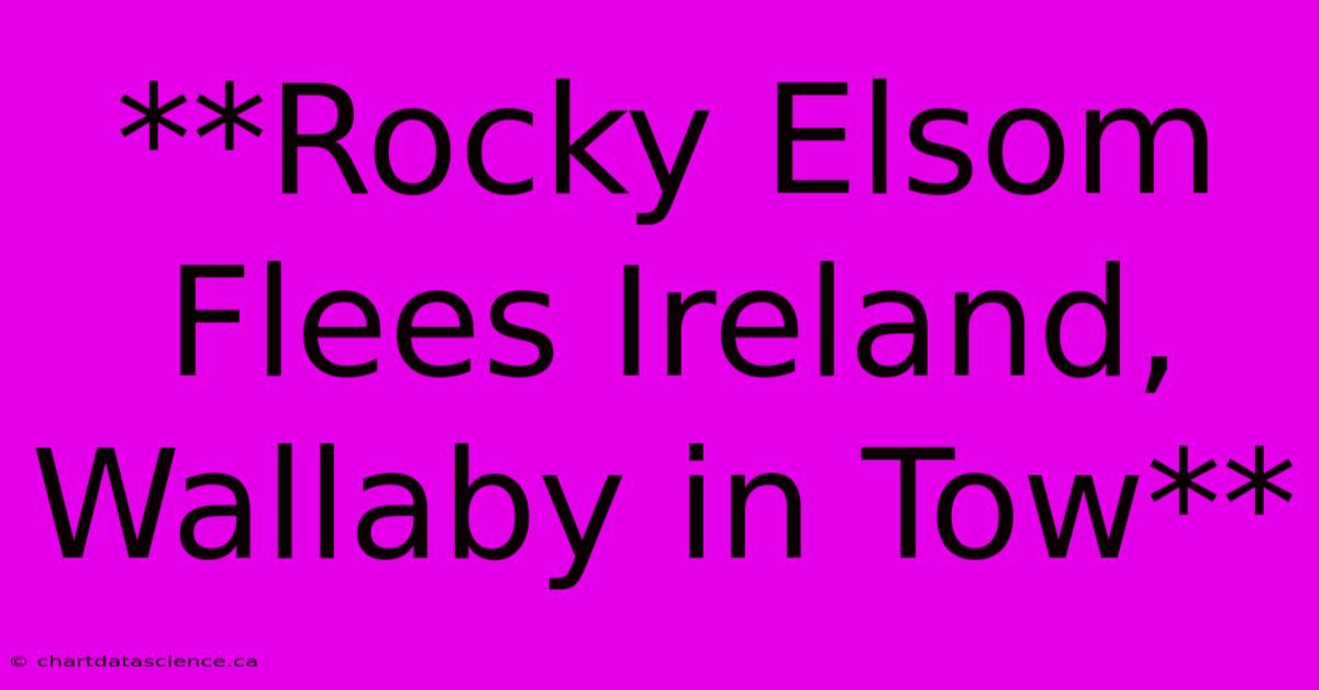 **Rocky Elsom Flees Ireland, Wallaby In Tow**