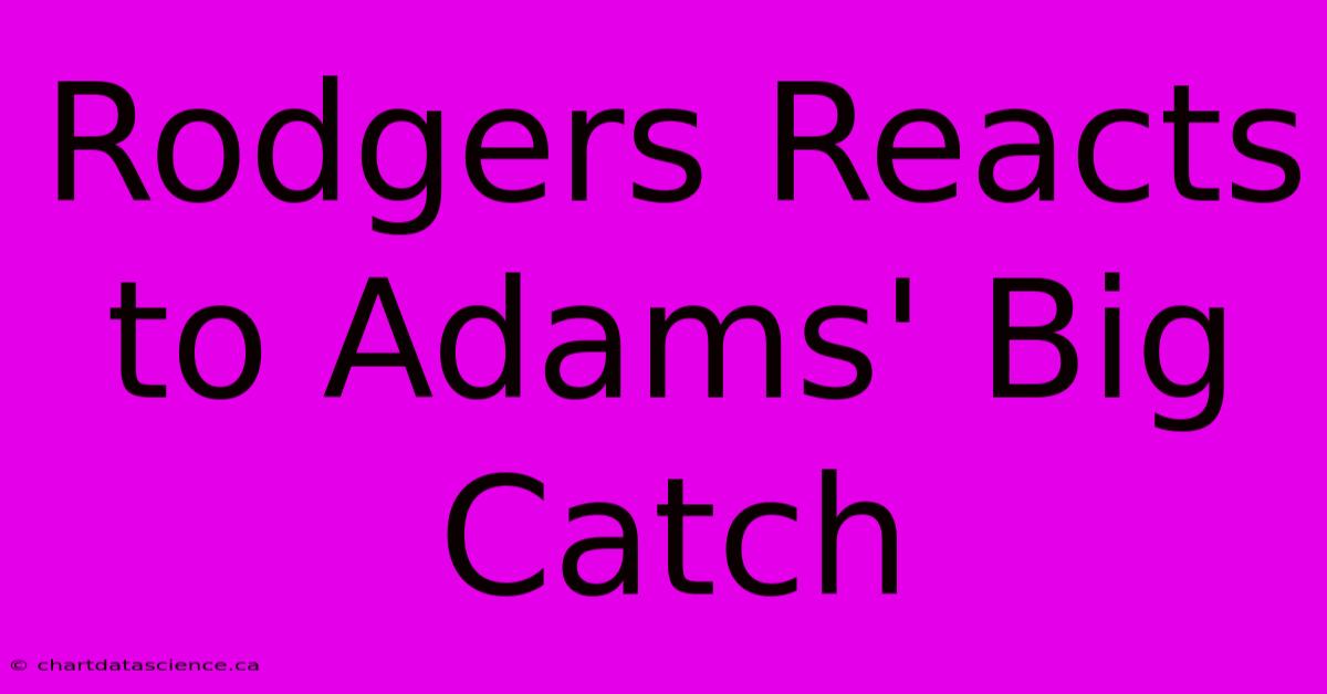 Rodgers Reacts To Adams' Big Catch 