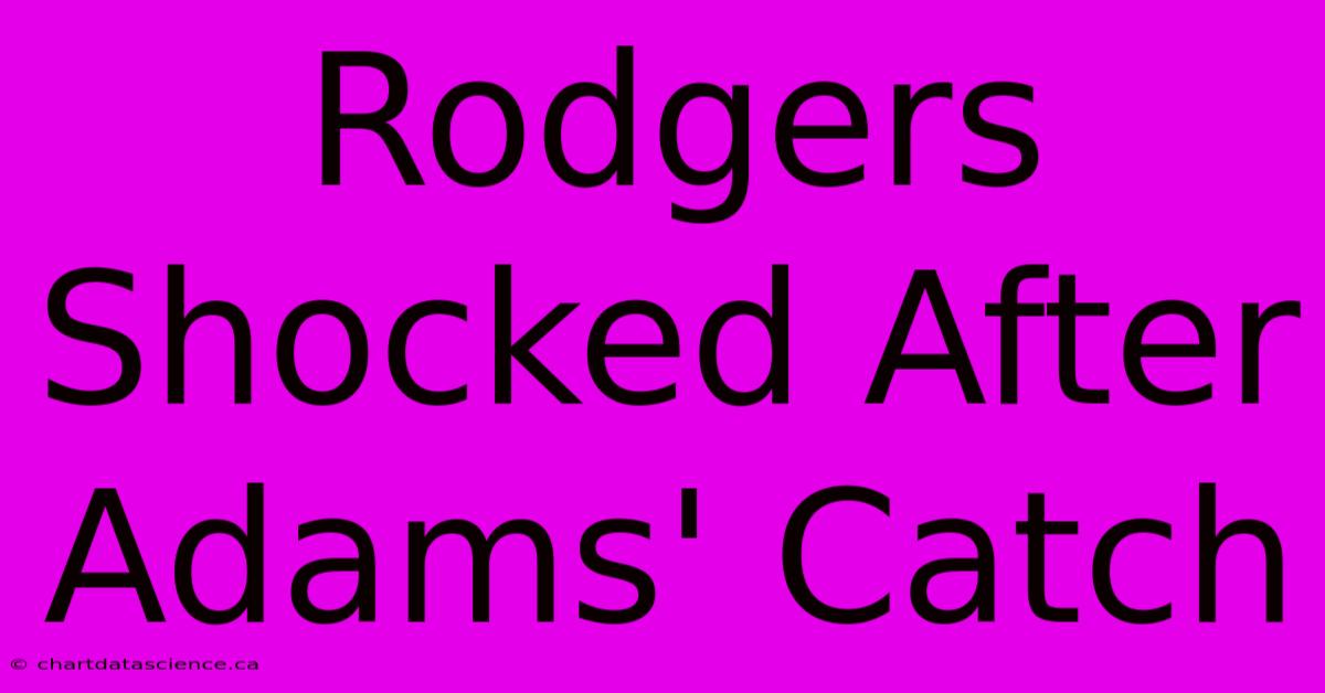 Rodgers Shocked After Adams' Catch