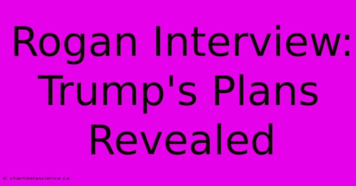 Rogan Interview: Trump's Plans Revealed