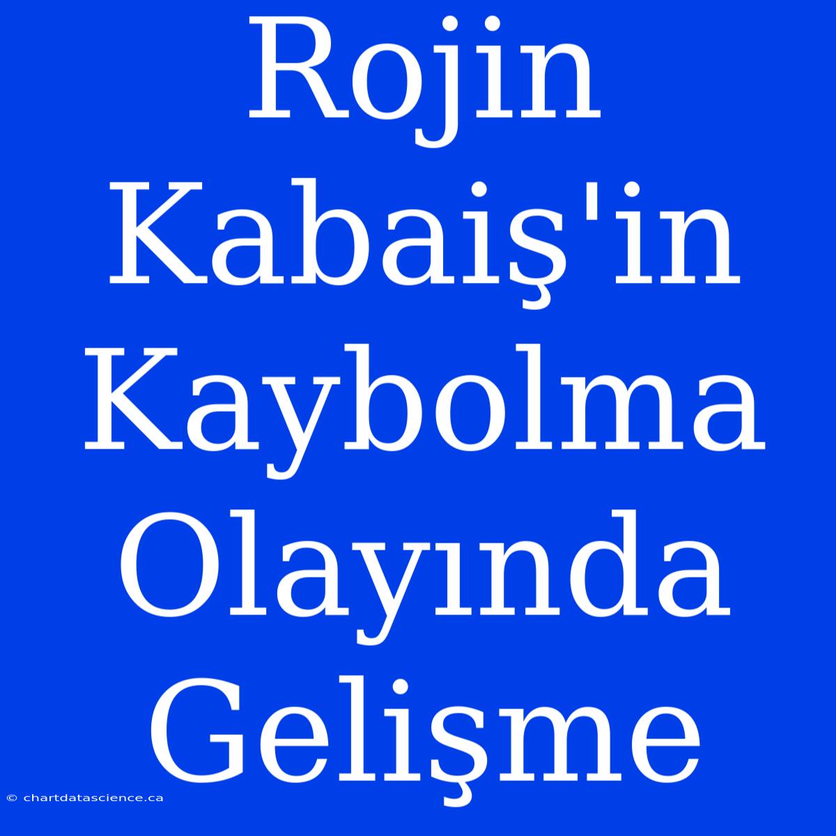 Rojin Kabaiş'in Kaybolma Olayında Gelişme