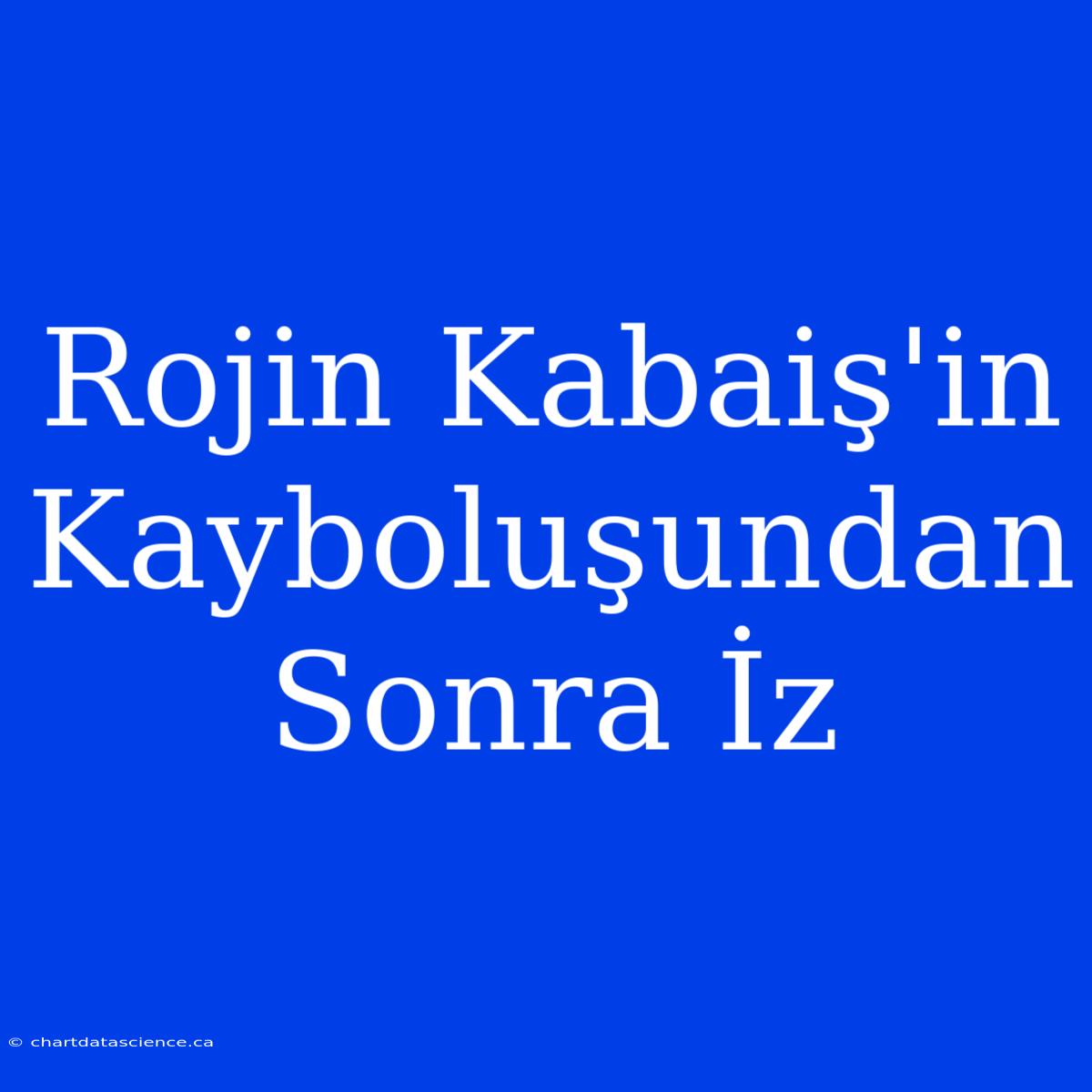 Rojin Kabaiş'in Kayboluşundan Sonra İz