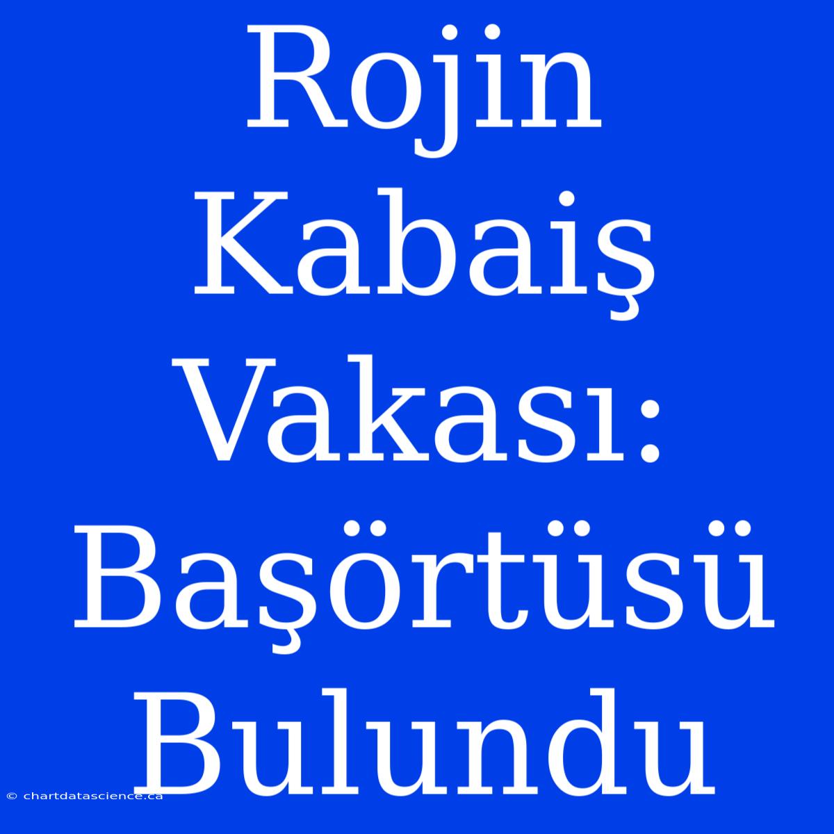 Rojin Kabaiş Vakası: Başörtüsü Bulundu