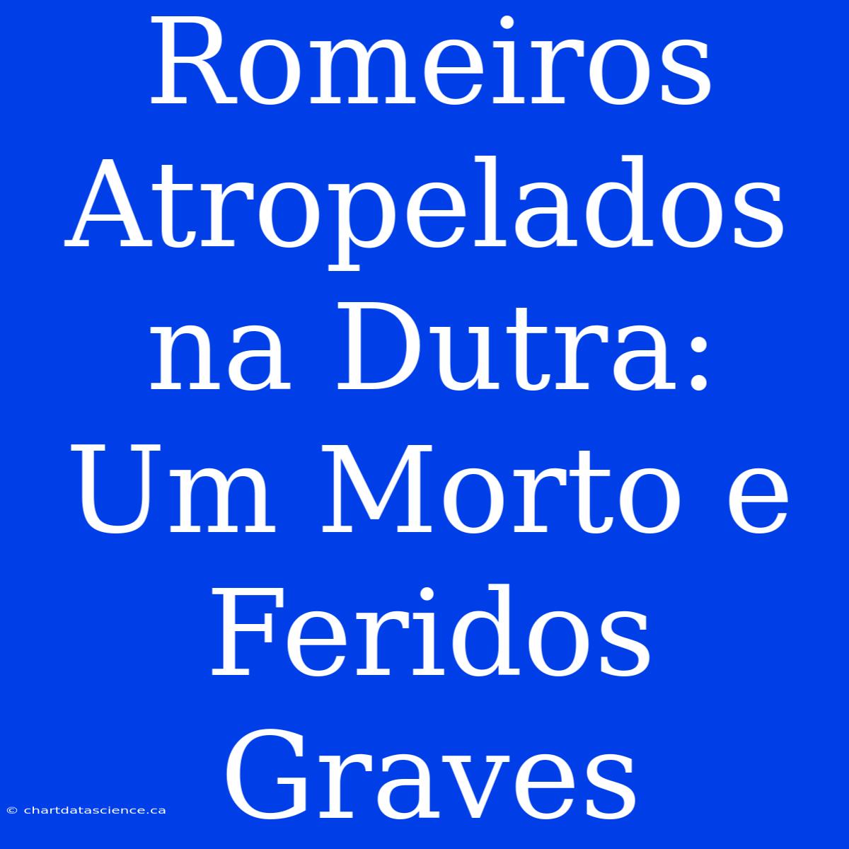 Romeiros Atropelados Na Dutra: Um Morto E Feridos Graves