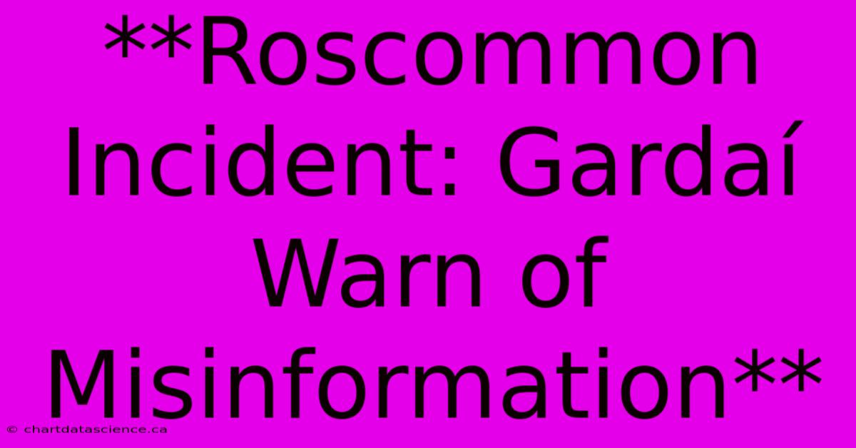 **Roscommon Incident: Gardaí Warn Of Misinformation**