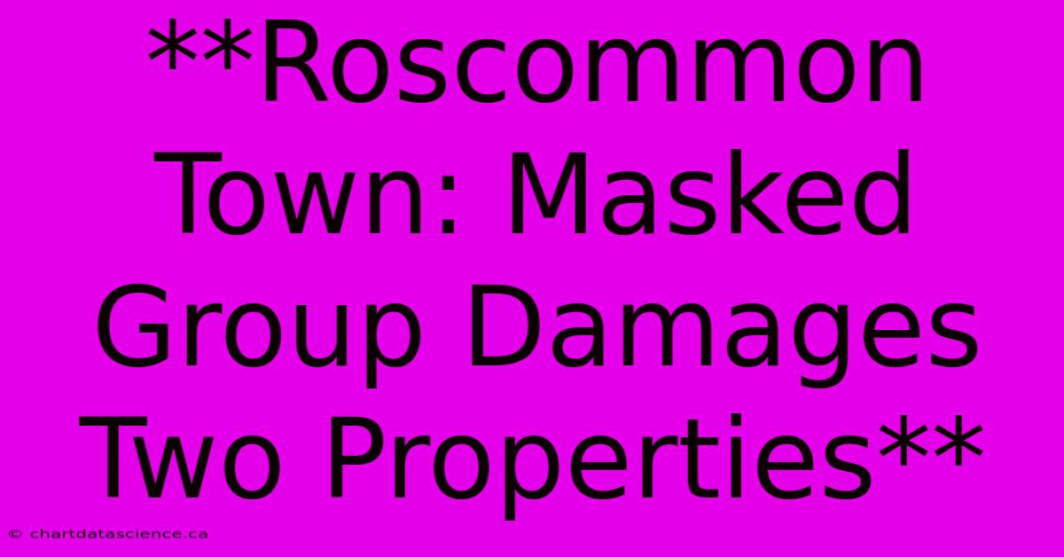 **Roscommon Town: Masked Group Damages Two Properties**