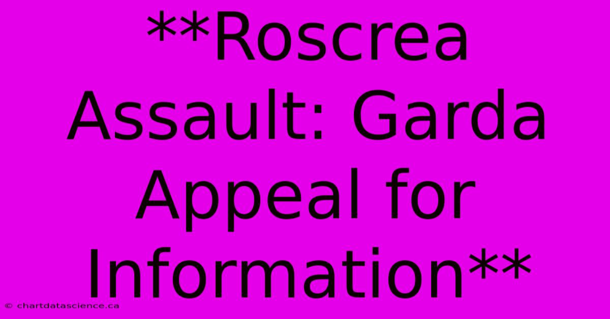 **Roscrea Assault: Garda Appeal For Information**