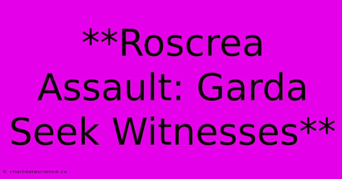 **Roscrea Assault: Garda Seek Witnesses** 