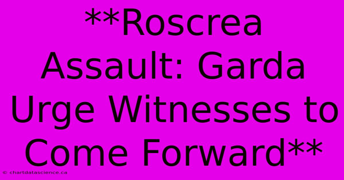 **Roscrea Assault: Garda Urge Witnesses To Come Forward** 