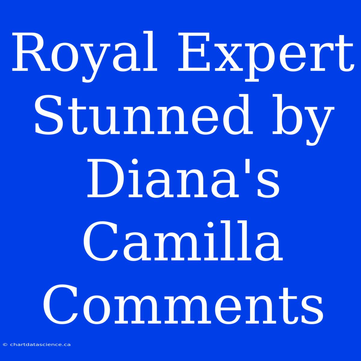 Royal Expert Stunned By Diana's Camilla Comments