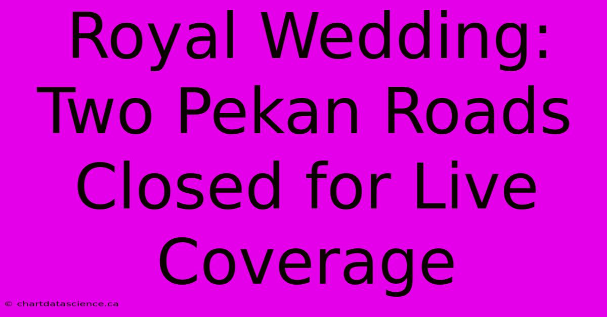 Royal Wedding: Two Pekan Roads Closed For Live Coverage