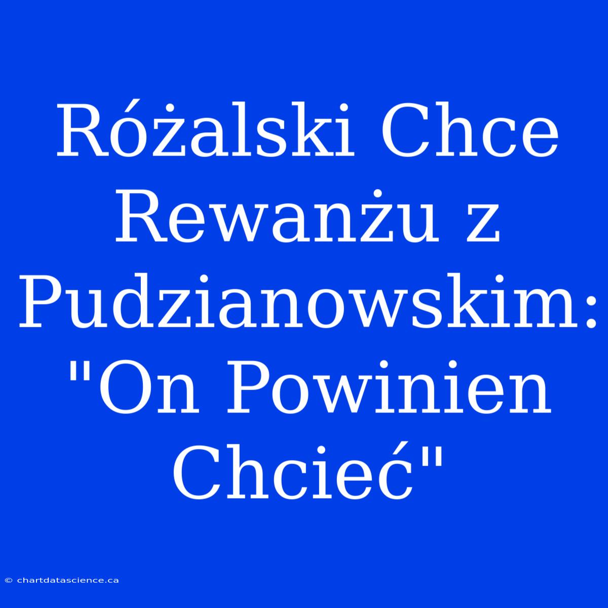 Różalski Chce Rewanżu Z Pudzianowskim: 