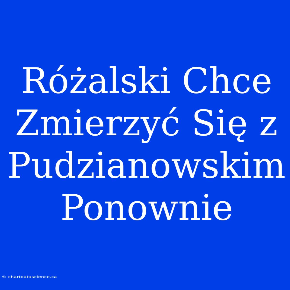 Różalski Chce Zmierzyć Się Z Pudzianowskim Ponownie