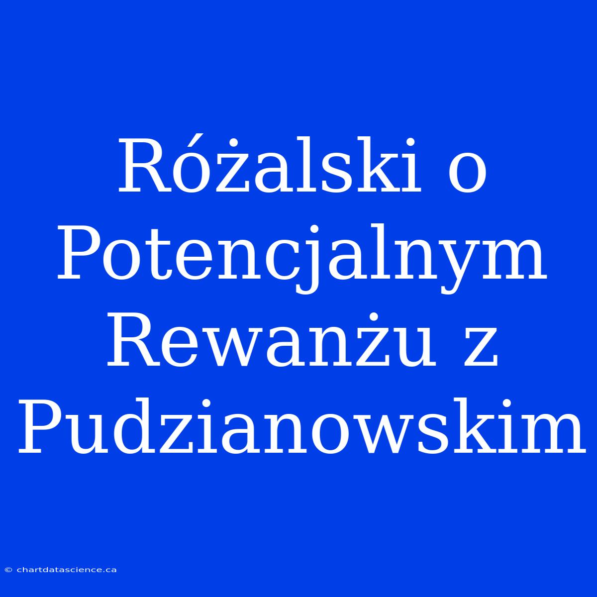 Różalski O Potencjalnym Rewanżu Z Pudzianowskim