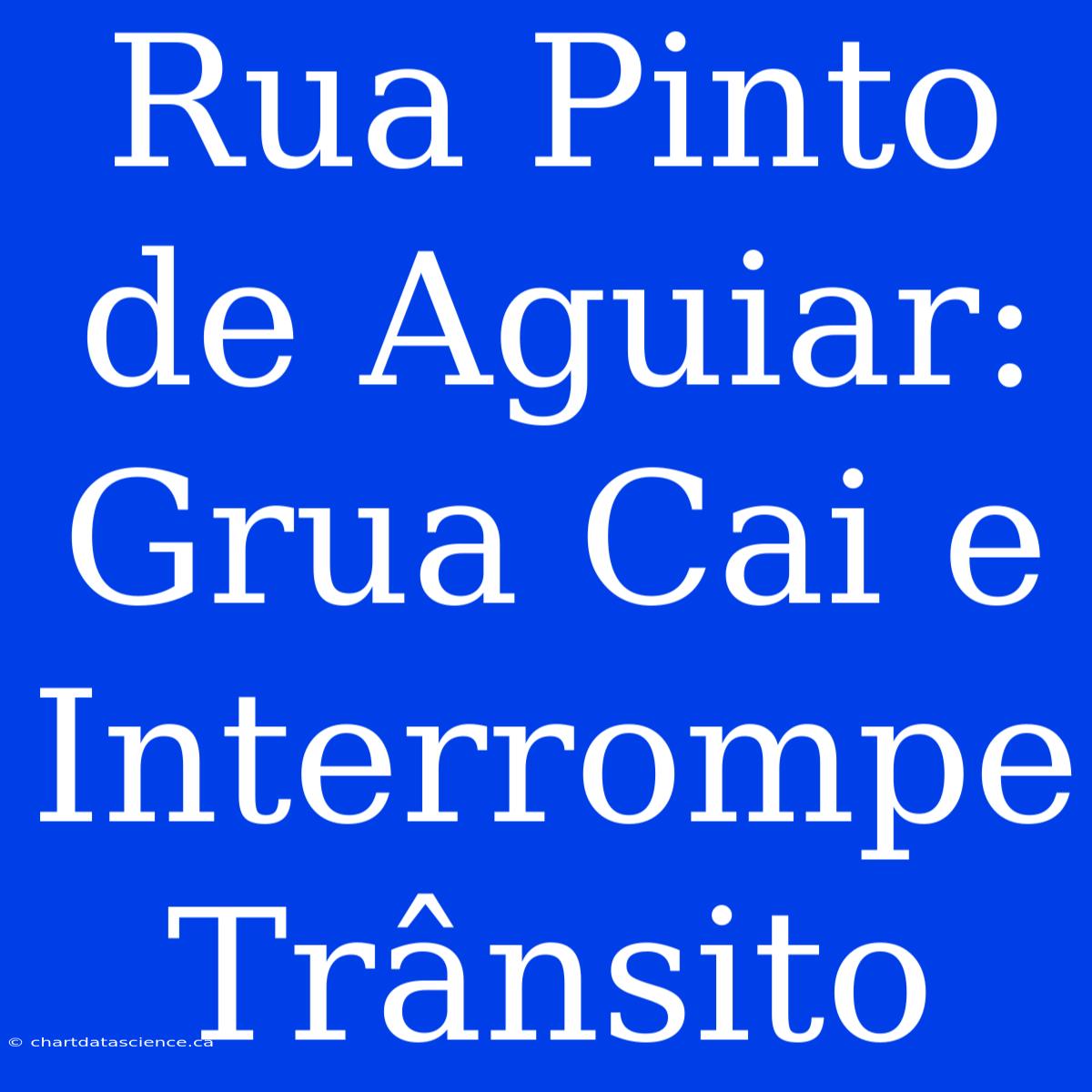 Rua Pinto De Aguiar: Grua Cai E Interrompe Trânsito