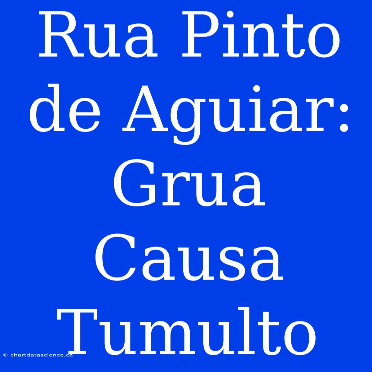 Rua Pinto De Aguiar: Grua Causa Tumulto