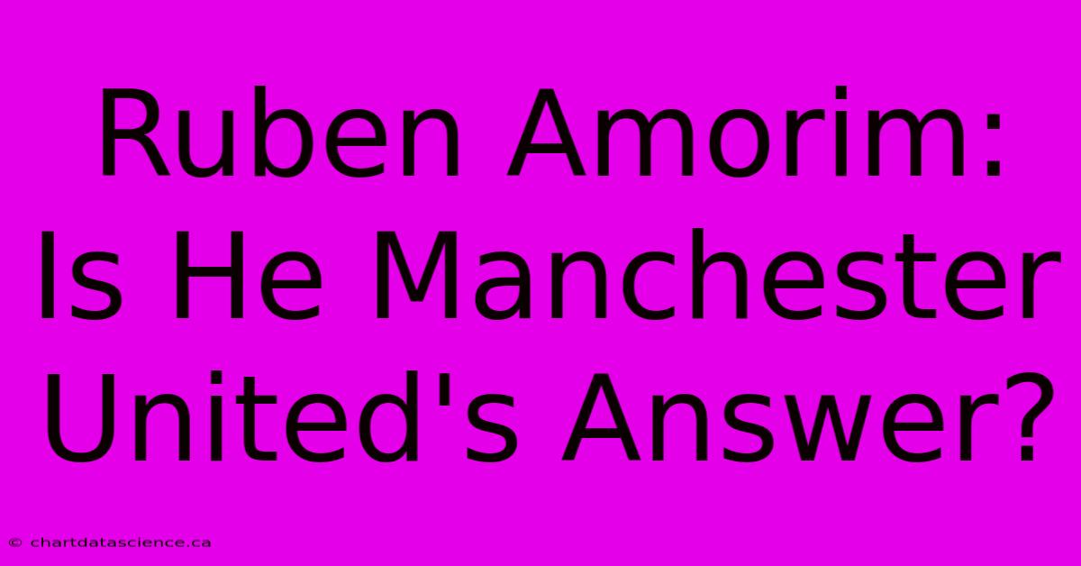 Ruben Amorim: Is He Manchester United's Answer?