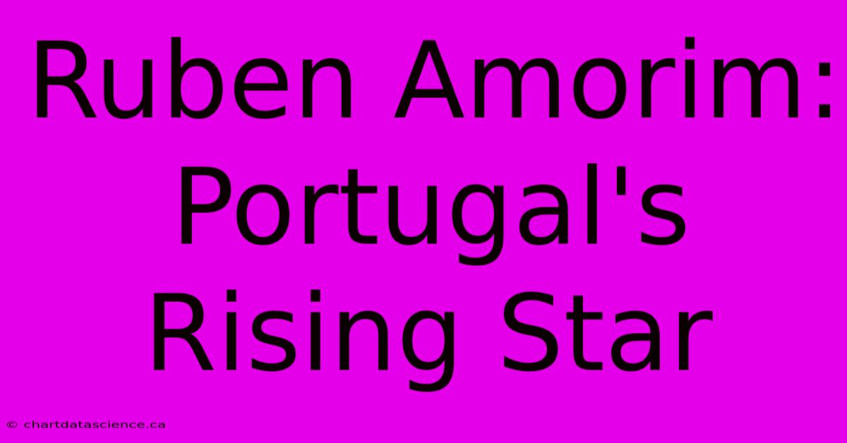 Ruben Amorim: Portugal's Rising Star