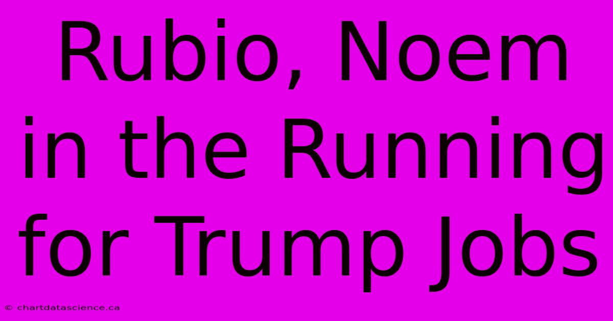 Rubio, Noem In The Running For Trump Jobs