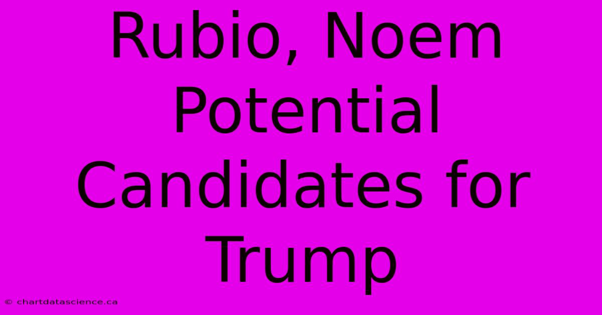 Rubio, Noem Potential Candidates For Trump 