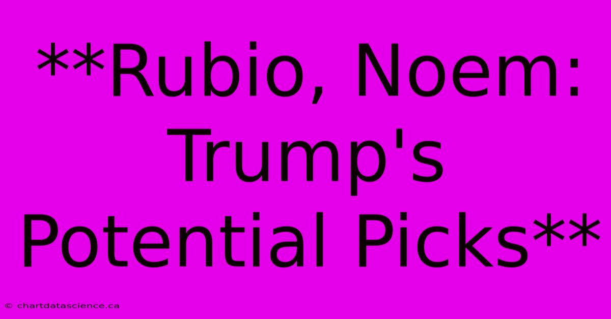 **Rubio, Noem: Trump's Potential Picks**