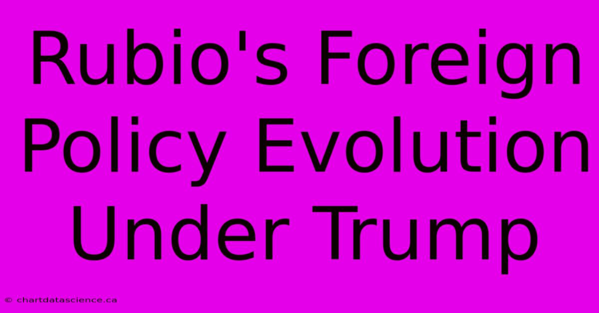 Rubio's Foreign Policy Evolution Under Trump