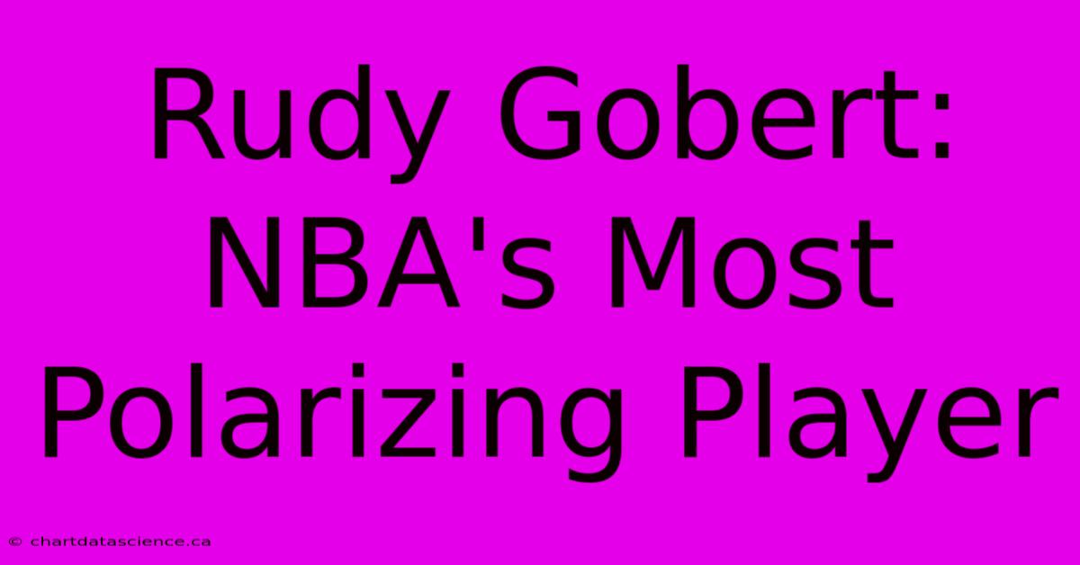 Rudy Gobert: NBA's Most Polarizing Player