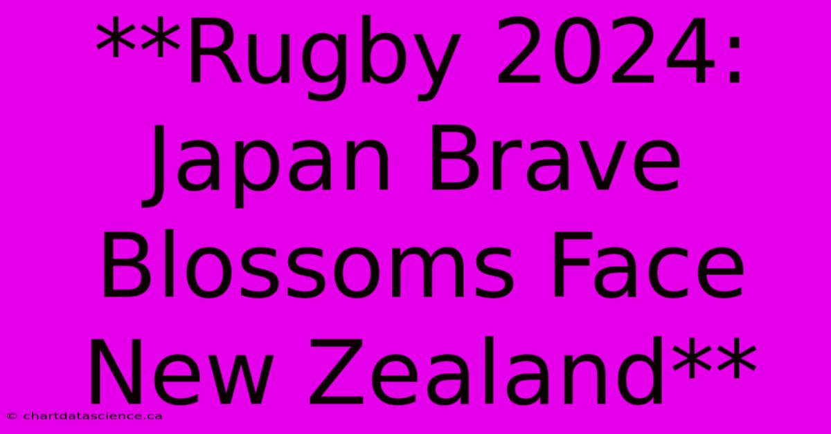 **Rugby 2024: Japan Brave Blossoms Face New Zealand**