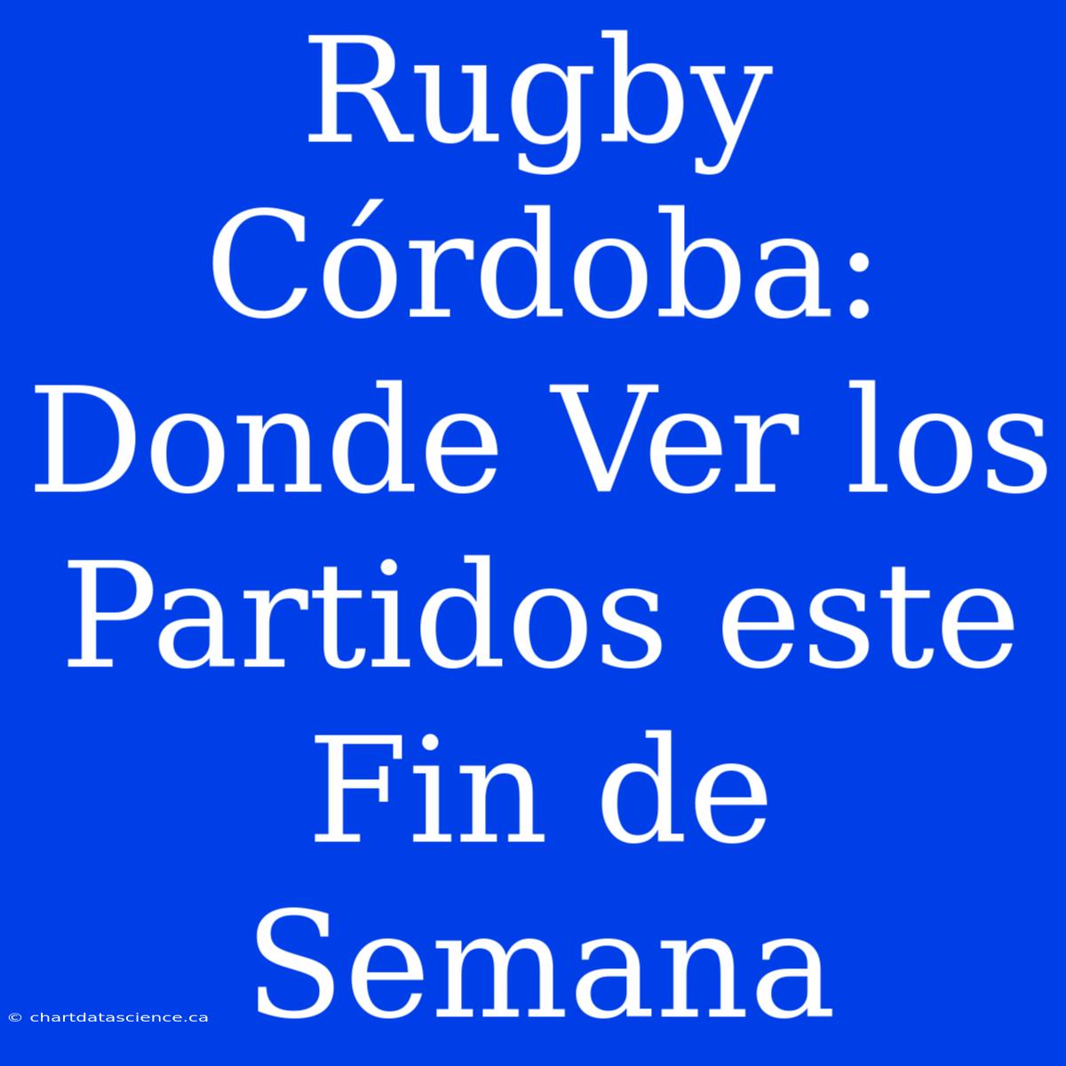 Rugby Córdoba: Donde Ver Los Partidos Este Fin De Semana