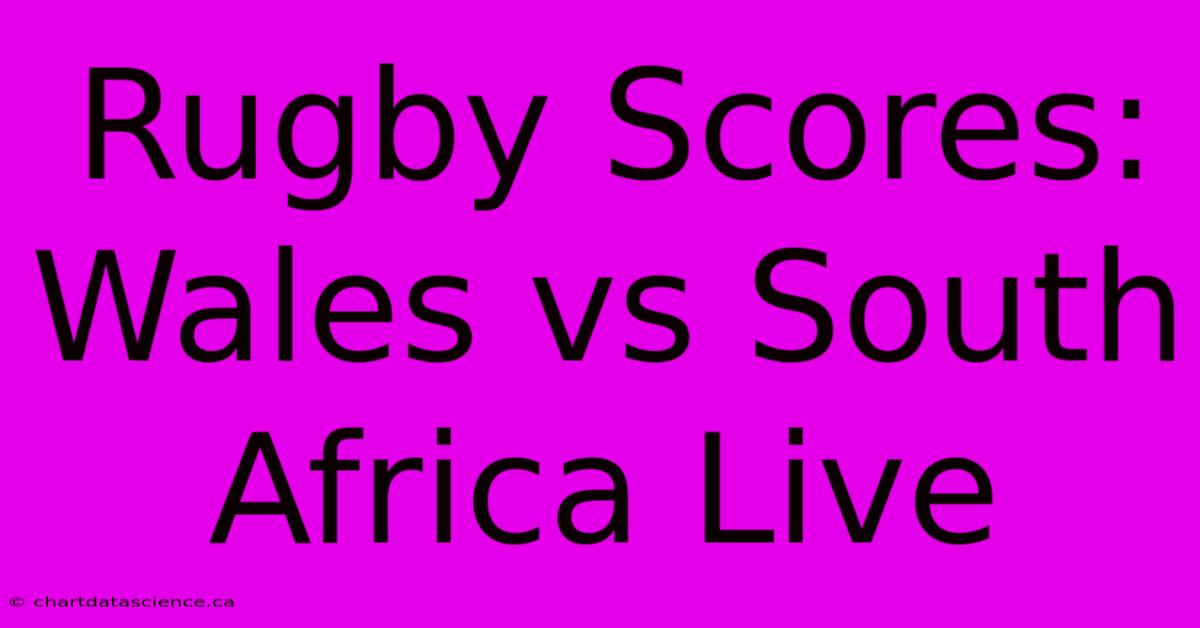 Rugby Scores: Wales Vs South Africa Live