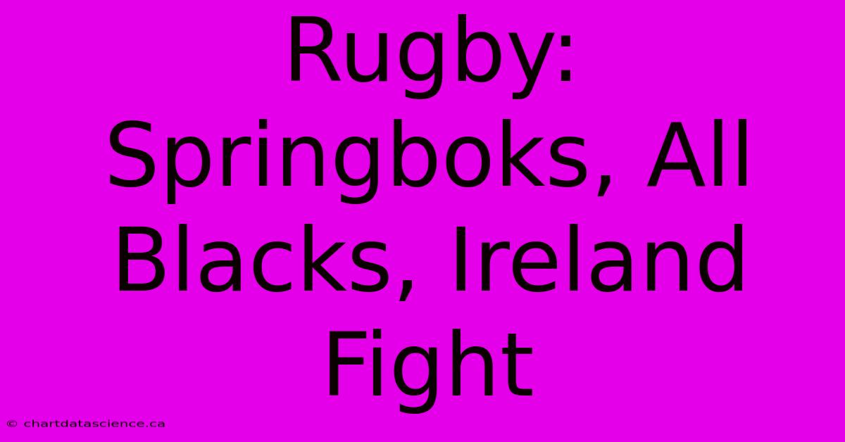 Rugby: Springboks, All Blacks, Ireland Fight 