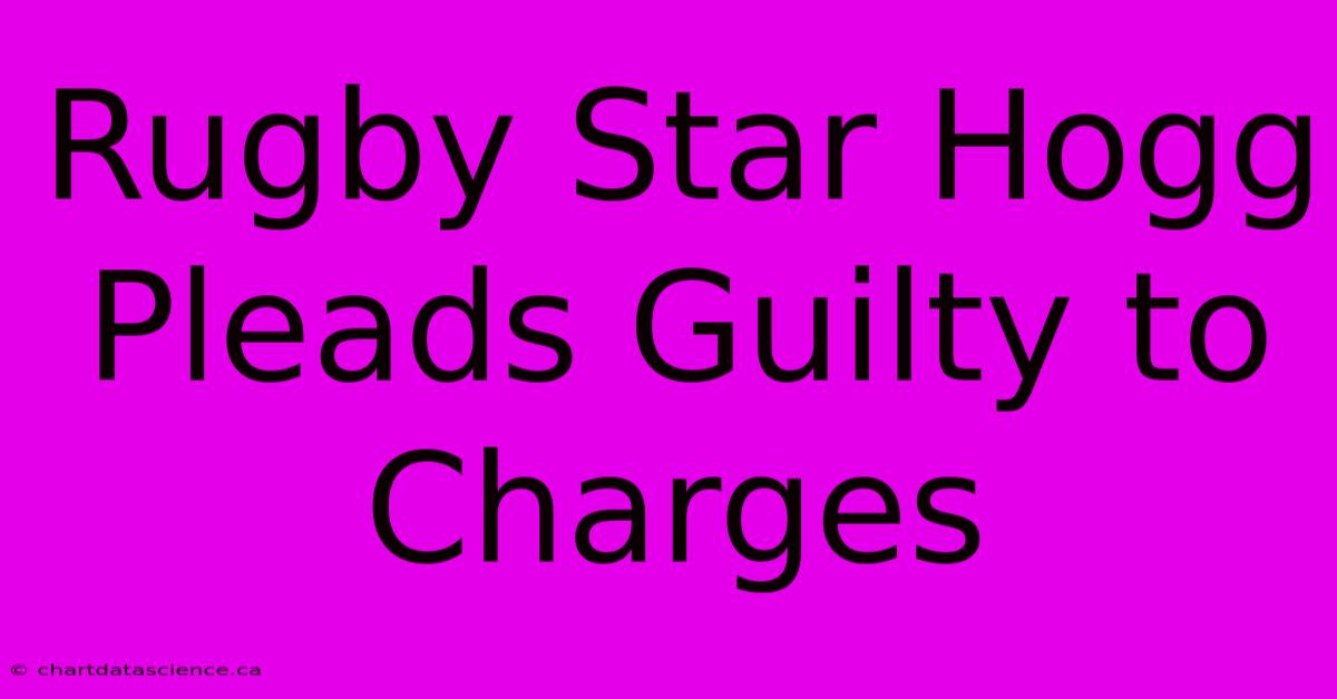 Rugby Star Hogg Pleads Guilty To Charges 